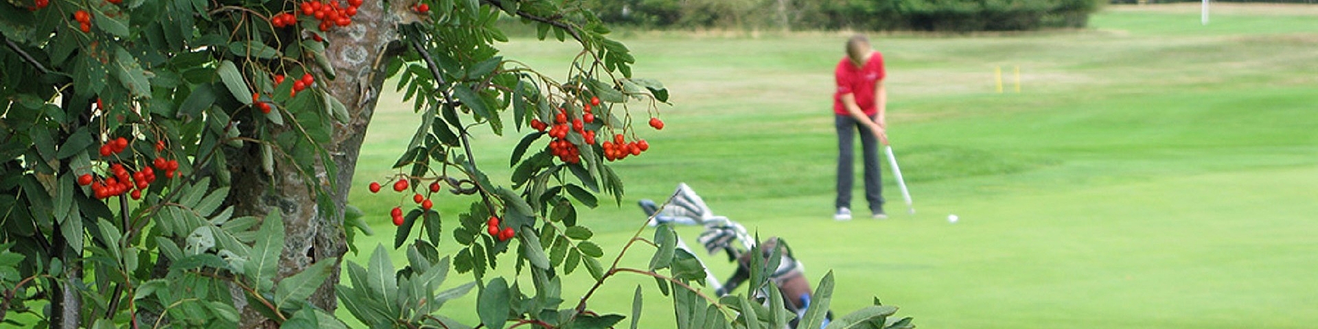 Golfophold Fyn | Få En Oversigt Over Golfbaner Og Ophold - Golf Fyn ...